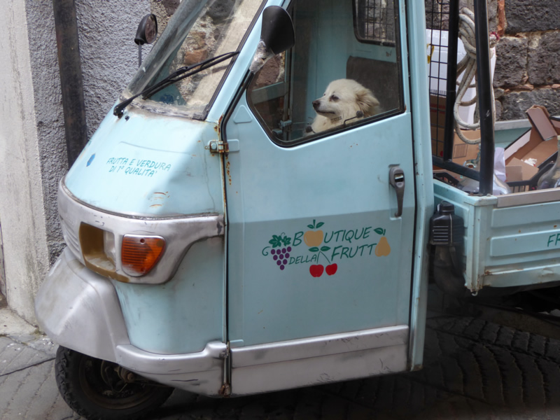 Look who's in the driver's seat in this Tuscan village.