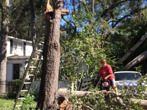 A man clears a fallen tree in West Ashley. Photo by Michael Kaynard.