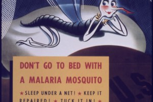 From a World War II poster on malaria.