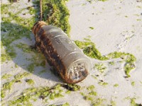An oil-filled bottle that washed onto a Florida beach after the Deepwater Horizon tragedy.  Photo by Andy Brack.