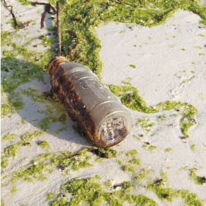 An oil-filled bottle that washed onto a Florida beach after the Deepwater Horizon tragedy.  Photo by Andy Brack.