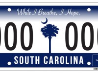 GOOD NEWS: What do you think of the new state license plate?