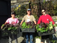 Volunteers Marifrasier Carpenter, Jack McAuliffe and JoElla Tyree show off the produce harvested from Magnolia Community Garden ready for donation to a local food pantry. Photo provided.