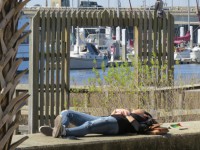 MYSTERY: A nap in the sun