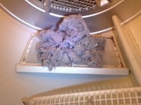 BRACK: Take care of your lint