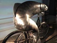 MYSTERY:  Fish on a bicycle