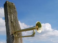 MORRIS:  Let’s toot our horn