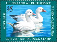 GOOD NEWS:  SEWE to host federal junior duck stamp judging on April 21
