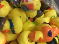 FOCUS: Adopt a duck for Rotary’s 11th annual Duck Race on Saturday