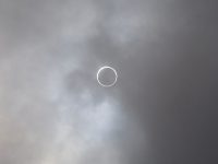 PALMETTO POEM: Eclipse 2017