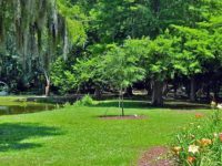 HISTORY:  Edisto Memorial Gardens