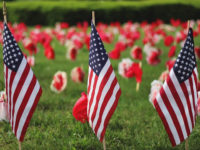CALENDAR: How you can honor veterans today and beyond
