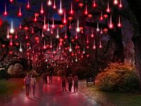 FOCUS: Lights of Magnolia to feature Chinese lanterns, dragons, more