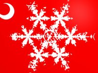 BRACK: Meet South Carolina’s red snowflakes