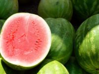 Watermelon no longer may be the reason most people know about Hampton County.